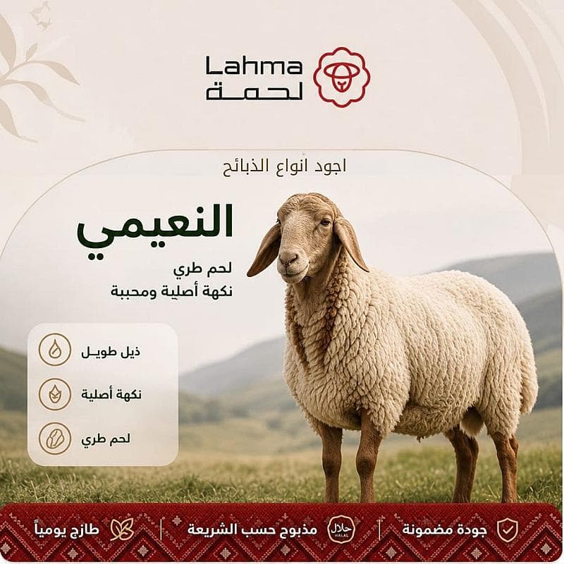 خروف نعيمي